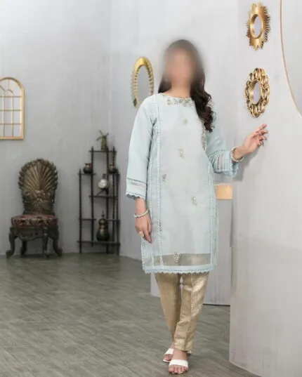 Kurta Collection| Pretty 1Pcs Ready-To-Wear Sky-Blue, Intricate Emboidered Kurta On Organza   TF-0010