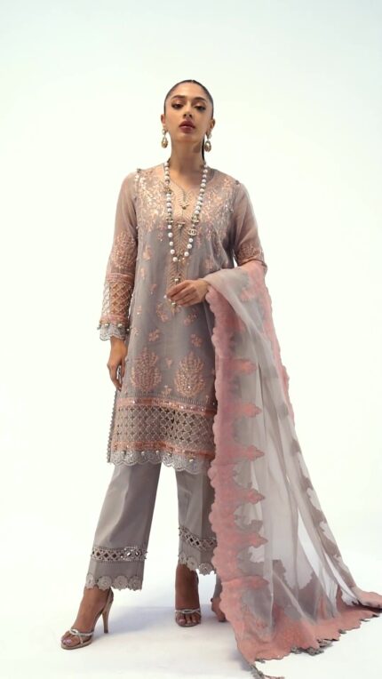 Sana Safinaz Muzlin Spring & Summer Collection | 4pcs Unstitched Karandi Net Intricate Embroidered Shirt, Plain Cotton Pants, Past Printed Organza Dupatta, D-01A