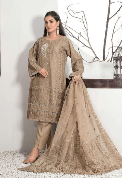 Fancy Dress | Read-To-Wear 3Pc Embroidered Organza Suit   TF-D009