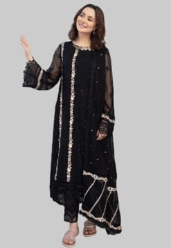 mind-blowing Black pakistani Wedding Chiffon dress