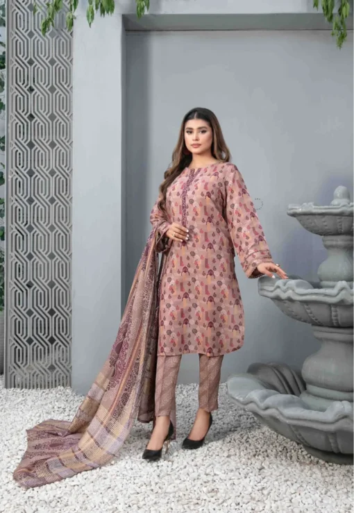 Brown casual printed salwar kameez for winter