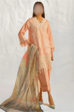 Embroidered summer Paikistani women salwar kameez