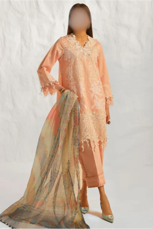 Embroidered summer Paikistani women salwar kameez