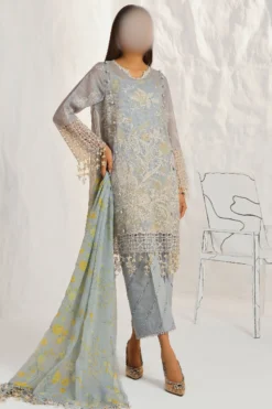 Intricately embroidered net suit with a printed lawn slip and a chiffon dupatta, Best for unique look and style