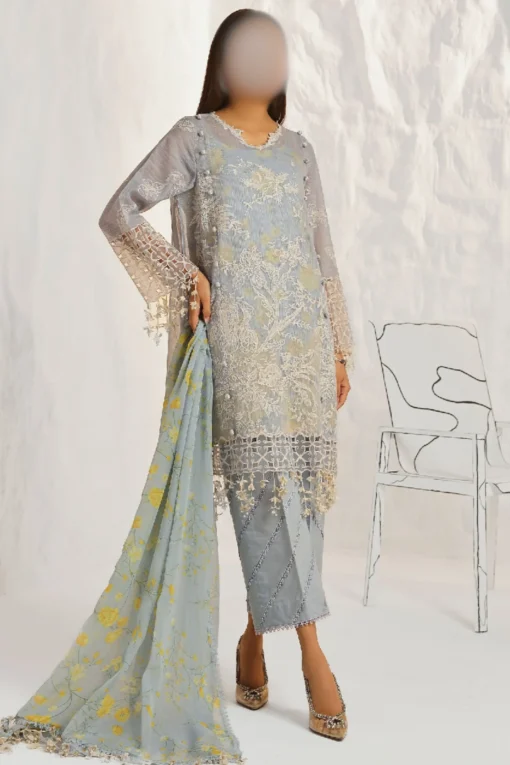 Intricately embroidered net suit with a printed lawn slip and a chiffon dupatta, Best for unique look and style