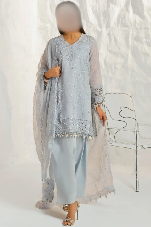 A stunning embroidered net suit with intricate detailing, featuring an organza daman and border, and a flowing net dupatta.