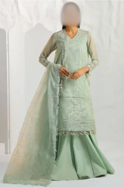 A breathtaking embroidered net suit with a delicate net dupatta, ideal for weddings and formal events | pakistani brand sana safinaz