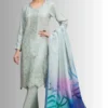 Pistashu-Gree Women Casual wear winter dress with mulit colour printed dupatta