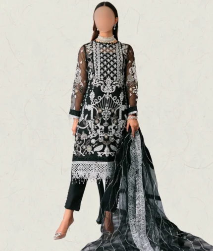 Black Organza Dress with silver embroidery details and lightweight Dupatta